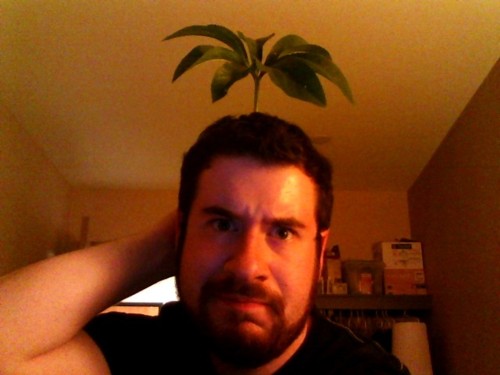 tumblr_lrlezcllU61qdd7hzo1_500.jpg